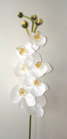 Artificial Silk Phalaenopsis Orchid Single Stem
