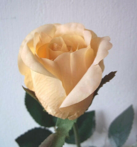 Artificial Real Touch Rose Bud Single Stem