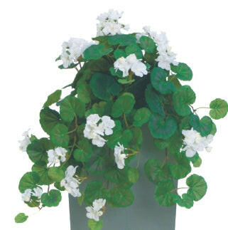 Artificial Silk Trailing Geranium Bush