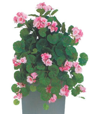 Artificial Silk Trailing Geranium Bush