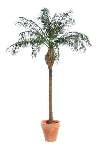 Artificial Phoenix Palm Tree