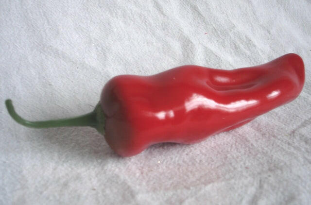 Artificial Chilli