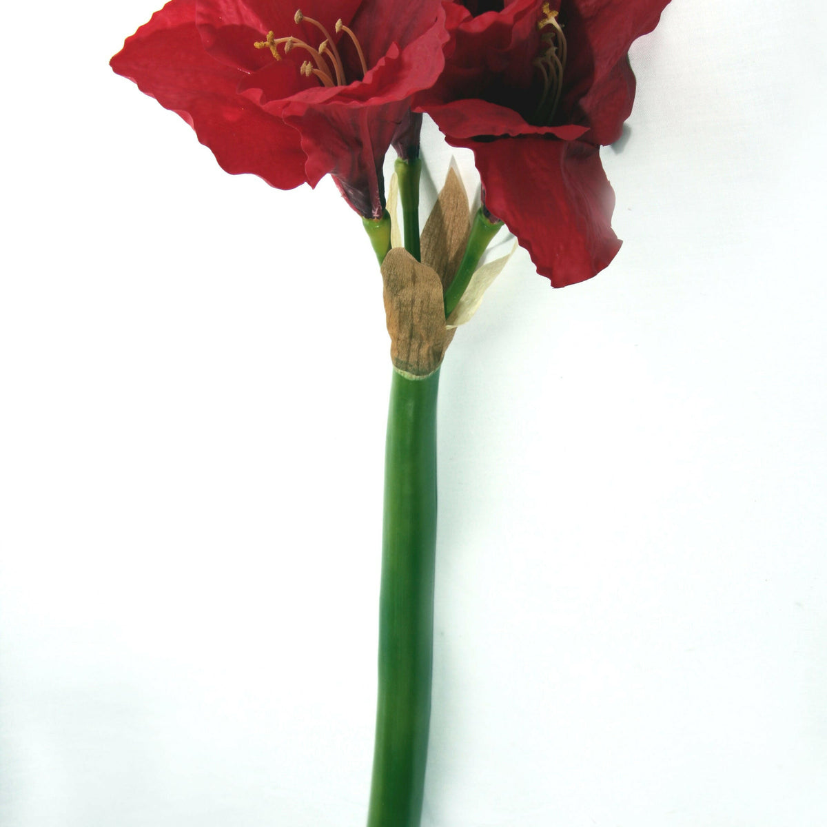 Artificial Silk Real Touch Amaryllis Single Stem Just Artificial