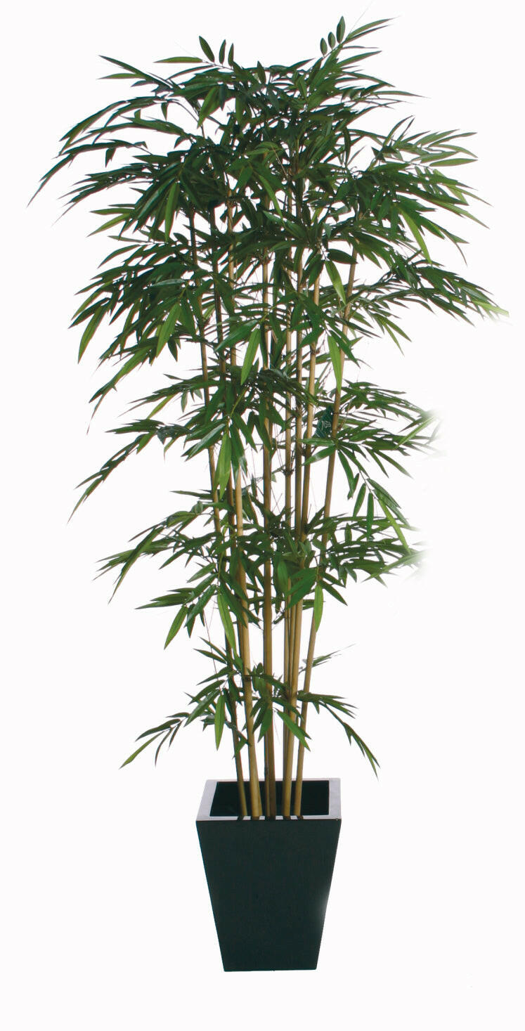 Artificial Natural Bamboo Tree IFR