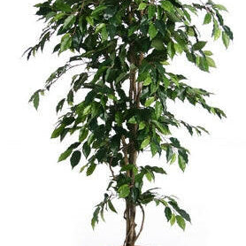 Artificial Silk Fat Ficus Tree