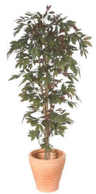 Artificial Capensia Deluxe Liana Tree IFR