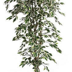 Artificial Silk Fat Ficus Tree