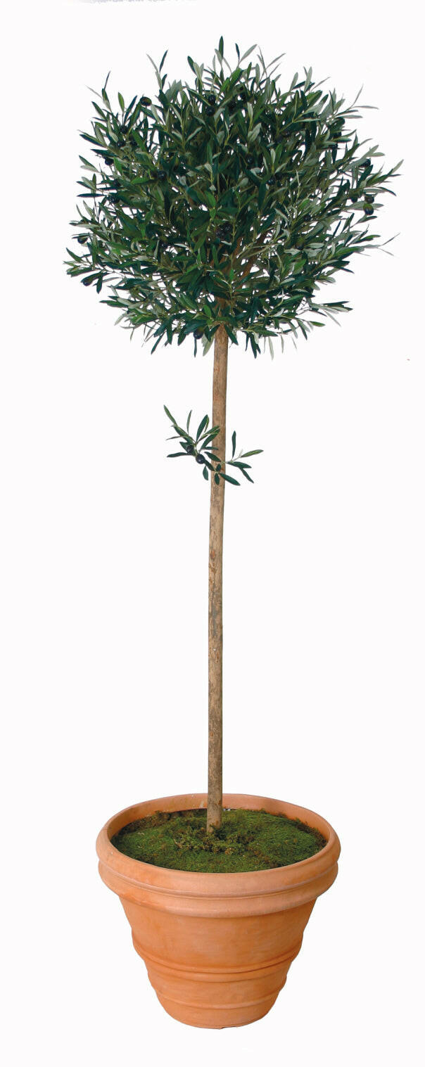 Artificial Silk Olive Ball Tree