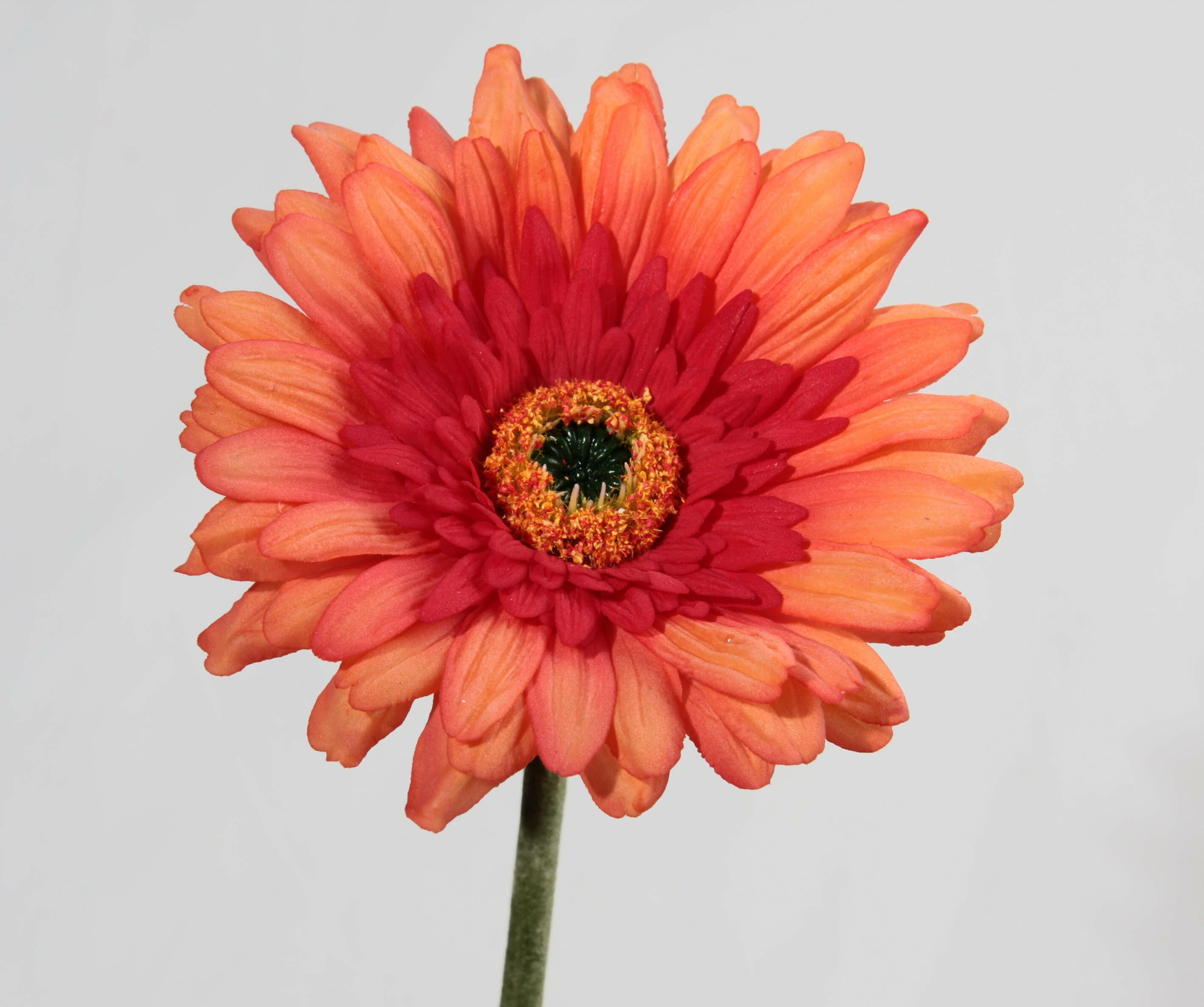 Artificial Silk Gerbera Deluxe Flowers (Real Touch)