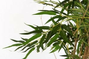 Showing close up foliage of our hand built Artificial Bamboo Tree