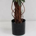 Artificial Capensia Deluxe Liana Tree IFR