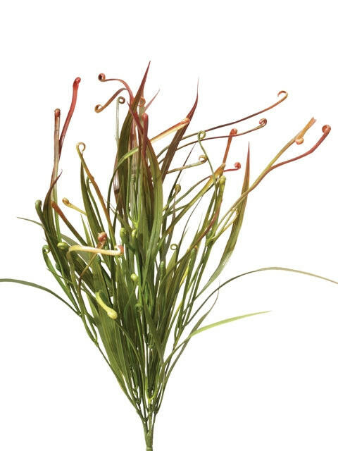 Grass & Wild Grass Bush