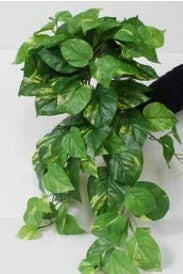 Artificial Pothos Deluxe Bush Trail