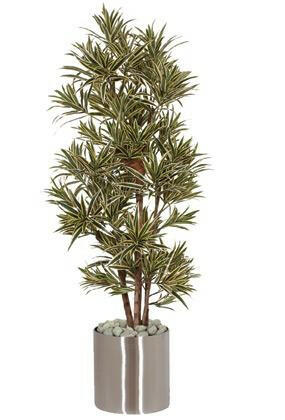 Artificial Silk Dracaena Reflexa Tree IFR