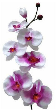 Artificial Phalaenopsis Spray Single Stem