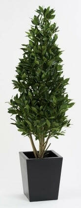 Artificial Bay Pyramid Cone Tree