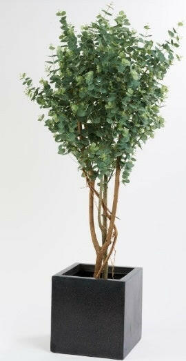 Justartificial.co.uk Eucalyptus in square planter