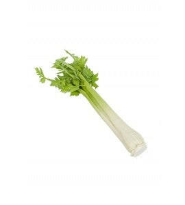 Artificial Celery Natural Touch