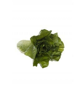 Artificial Romaine Lettuce Natural Touch