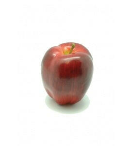 Artificial Weighted Red Delicious Apple