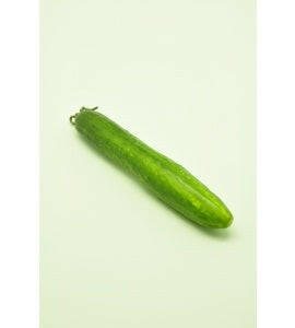 Artificial Small Cucumber