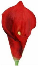 Artificial Large Silk Calla Lily