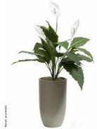 Artificial Silk Spathiphyllum Plant