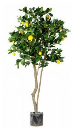 Artificial Silk Lemon Fruit Tree