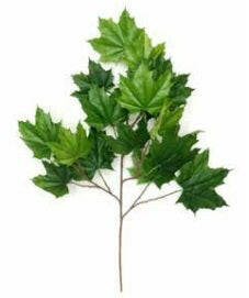 Artificial Silk North American Maple Leaf FR
