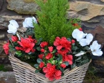 Artificial Ready Planted Rattan Winter Floor Planter