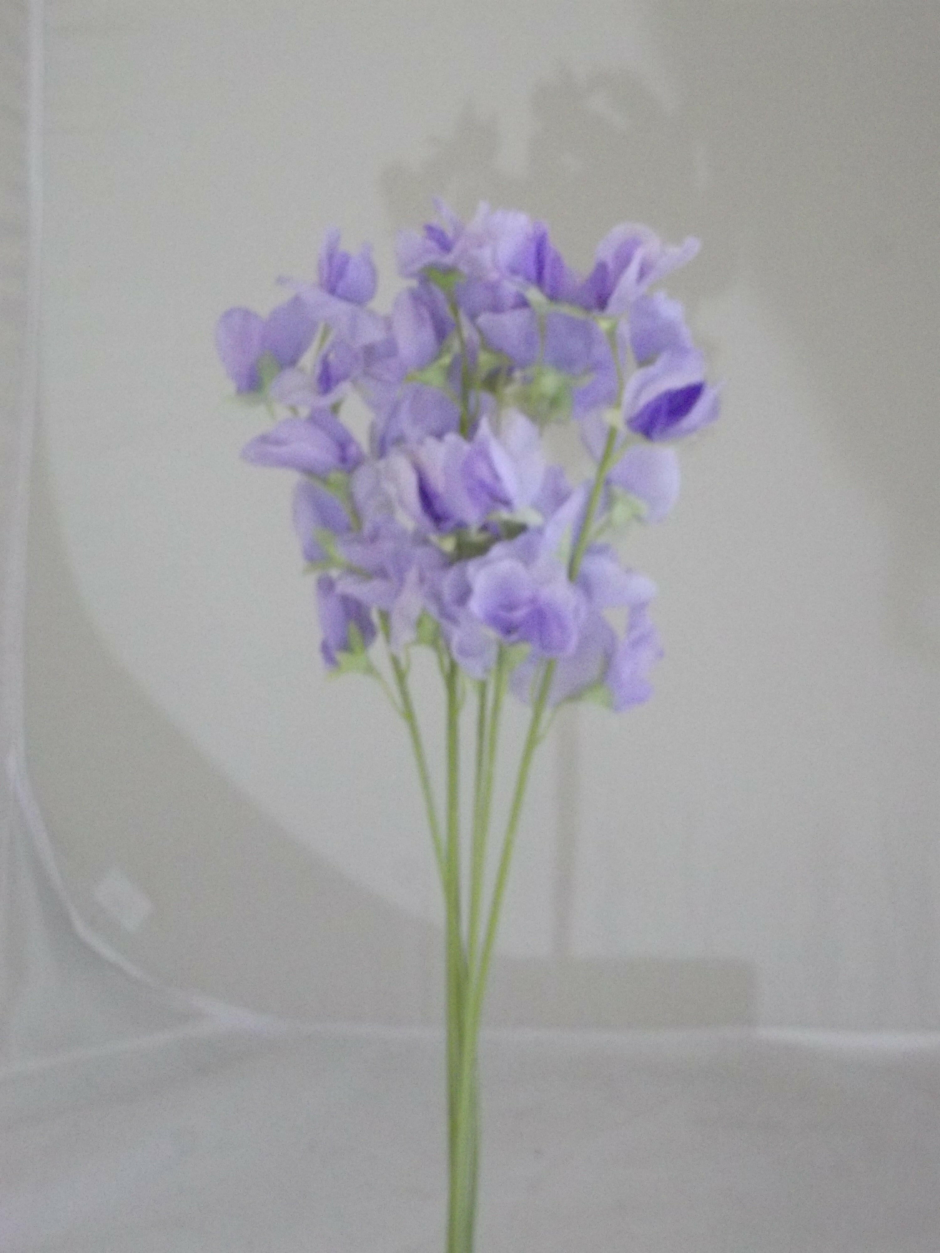 Artificial Silk Sweet Pea Bundle