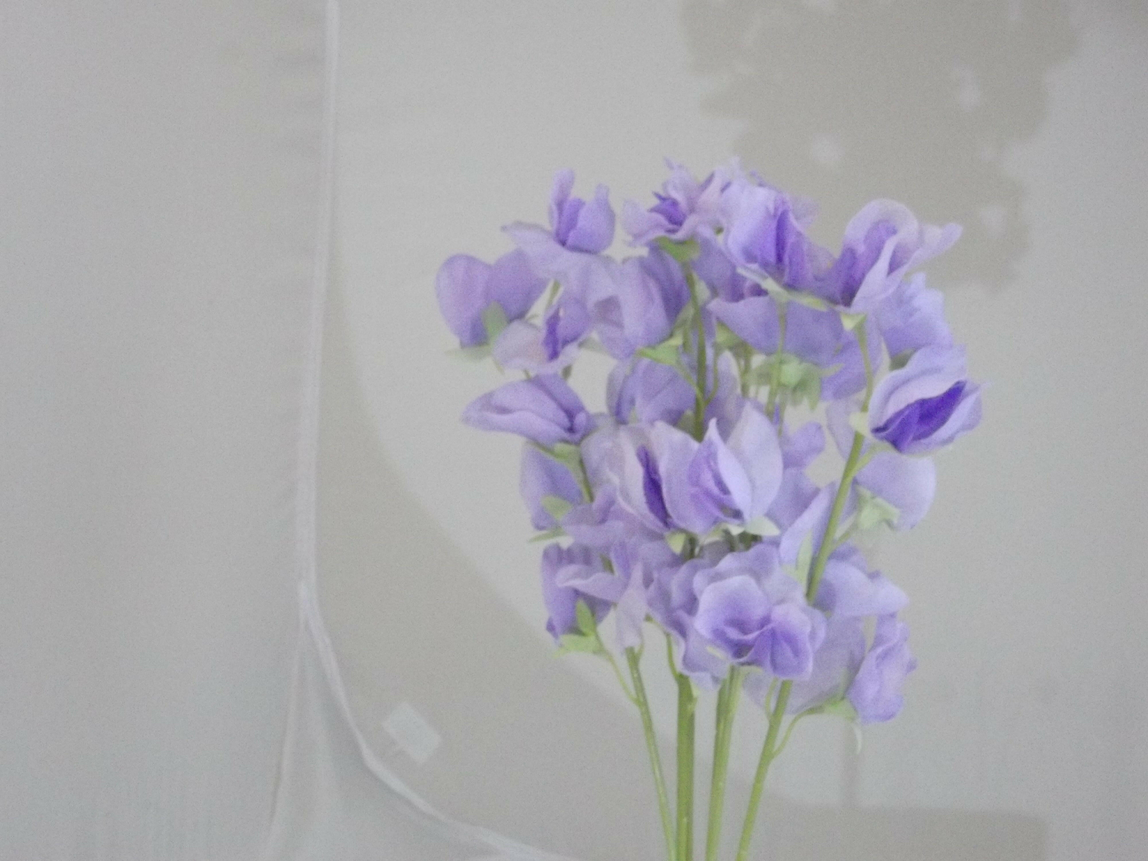 Artificial Silk Sweet Pea Bundle