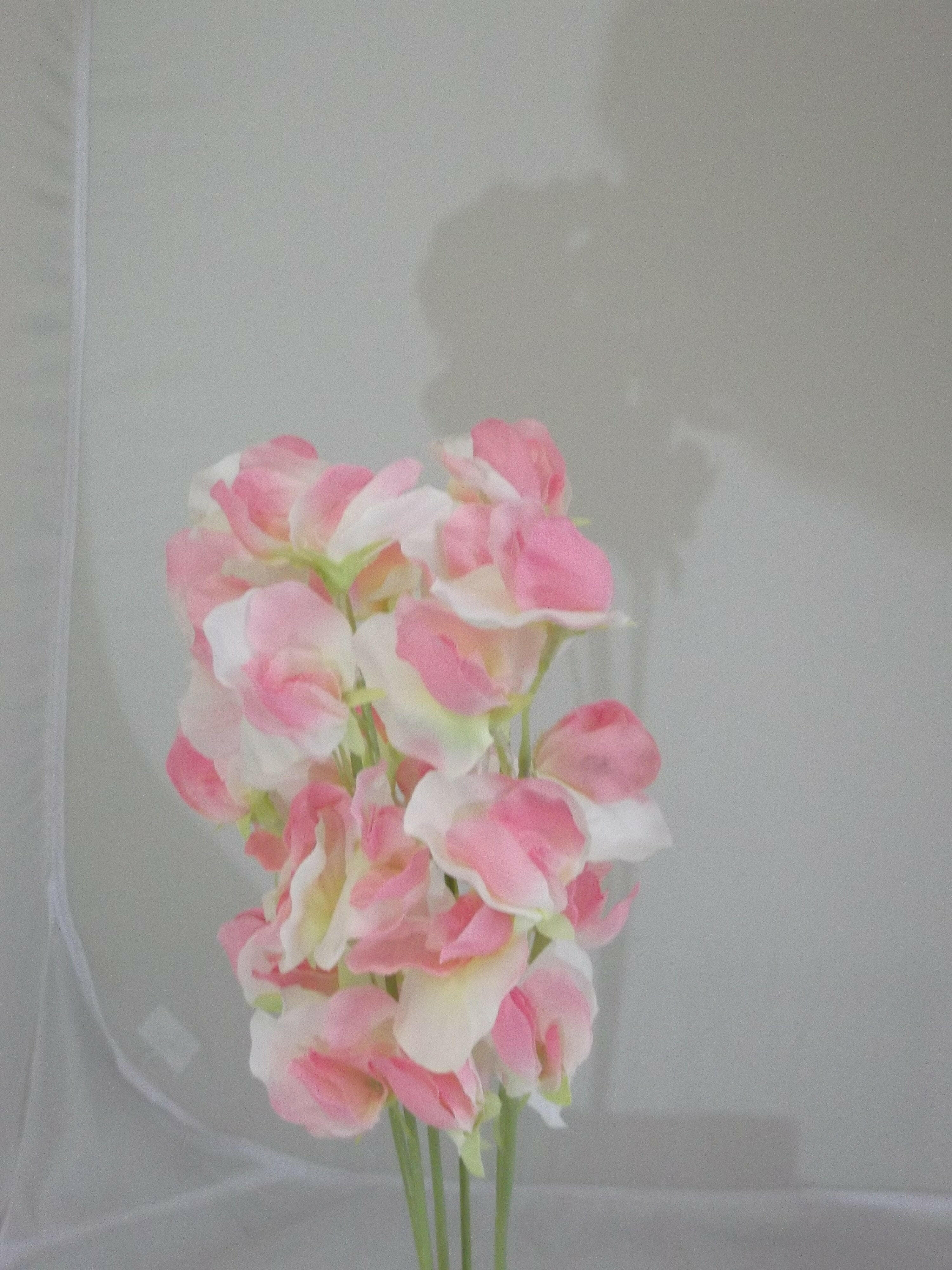 Artificial Silk Sweet Pea Bundle