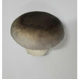 Artificial Mushroom