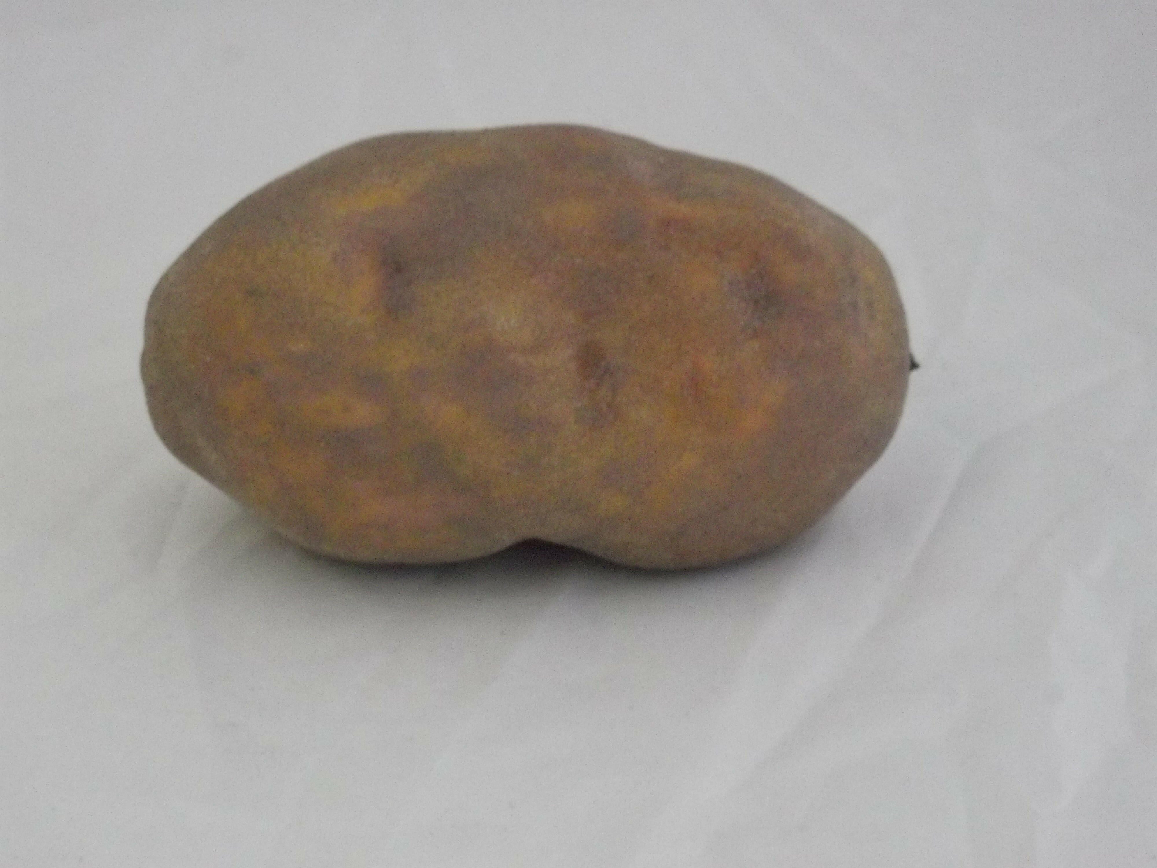 Artificial Potato