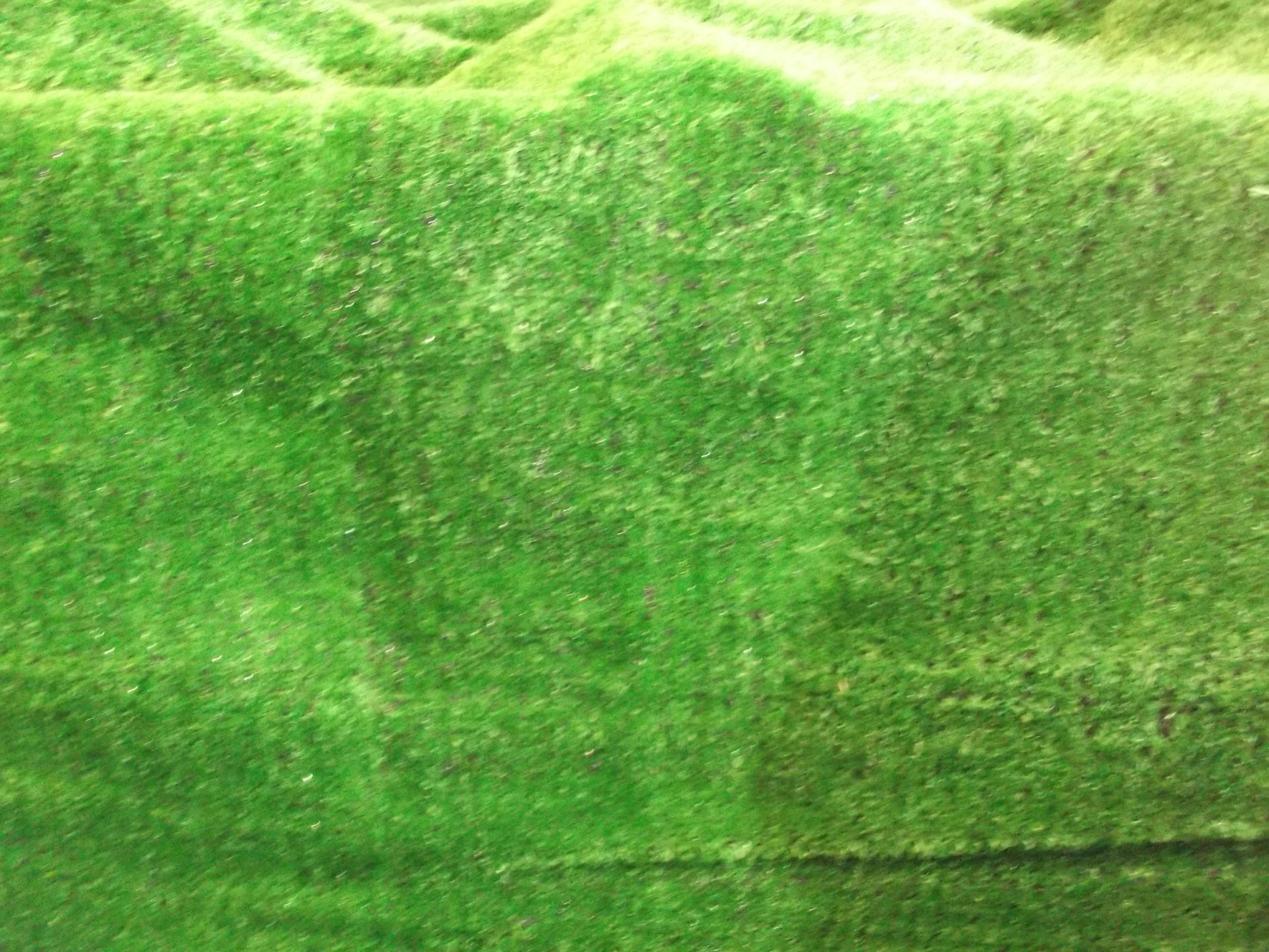 Artificial Display Grass
