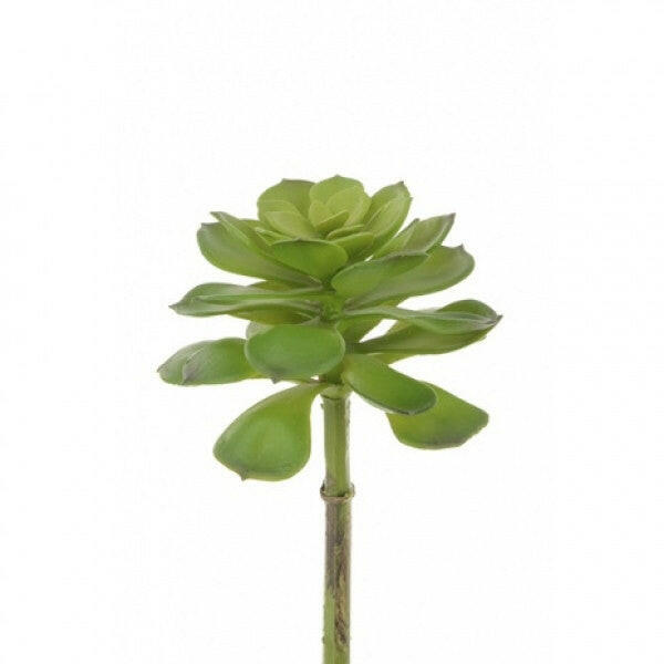 Artificial Succulent Camellia Pick