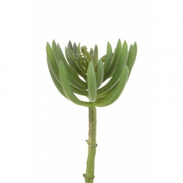 Artificial Succulent Finger Pick