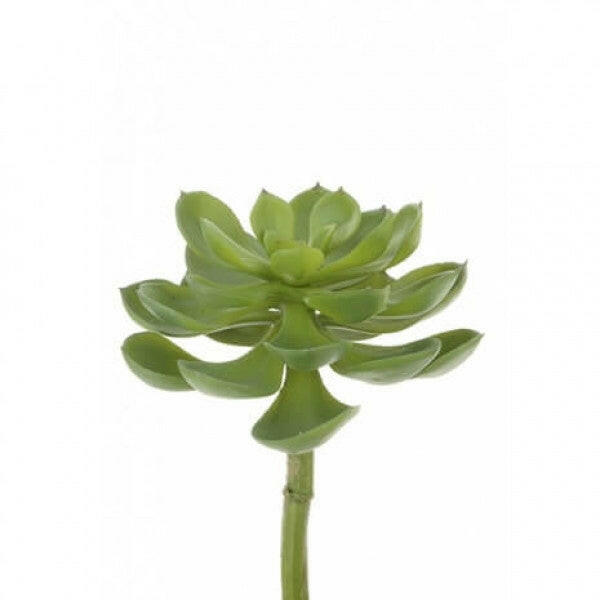 Artificial Succulent Desert Pick