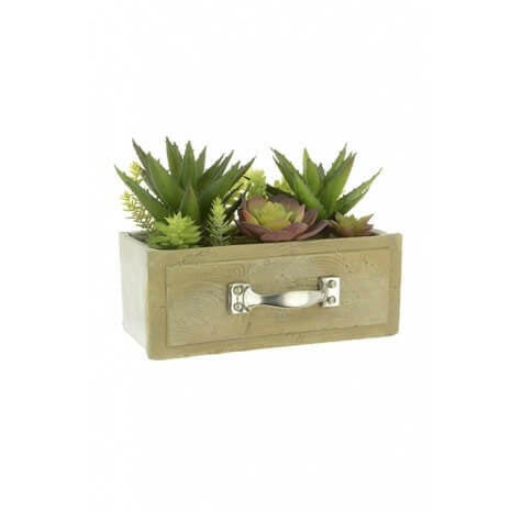 Artificial Succulent Drawer