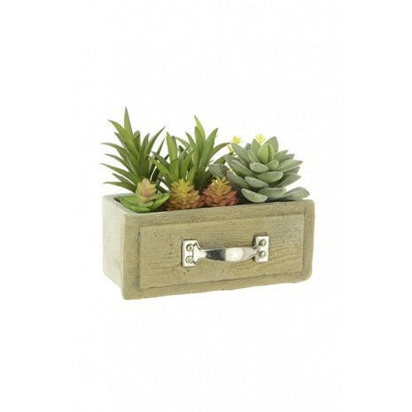 Artificial Succulent Drawer
