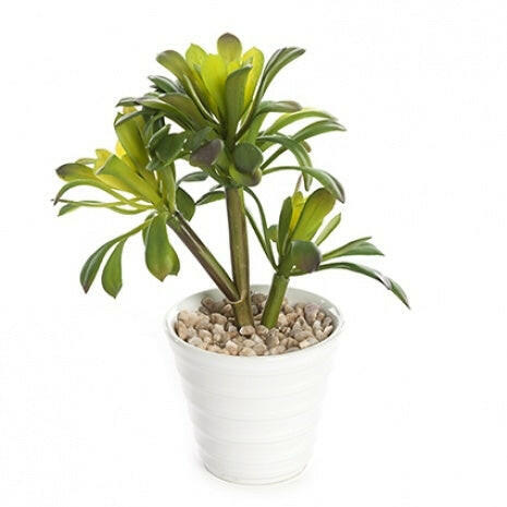 Artificial Potted Succulent