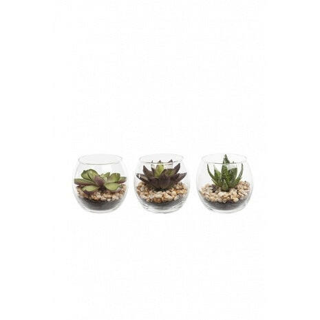 Artificial Succulents In Bubble Glass