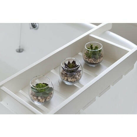 Artificial Succulents In Bubble Glass