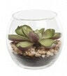 Artificial Succulents In Bubble Glass