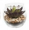 Artificial Succulents In Bubble Glass