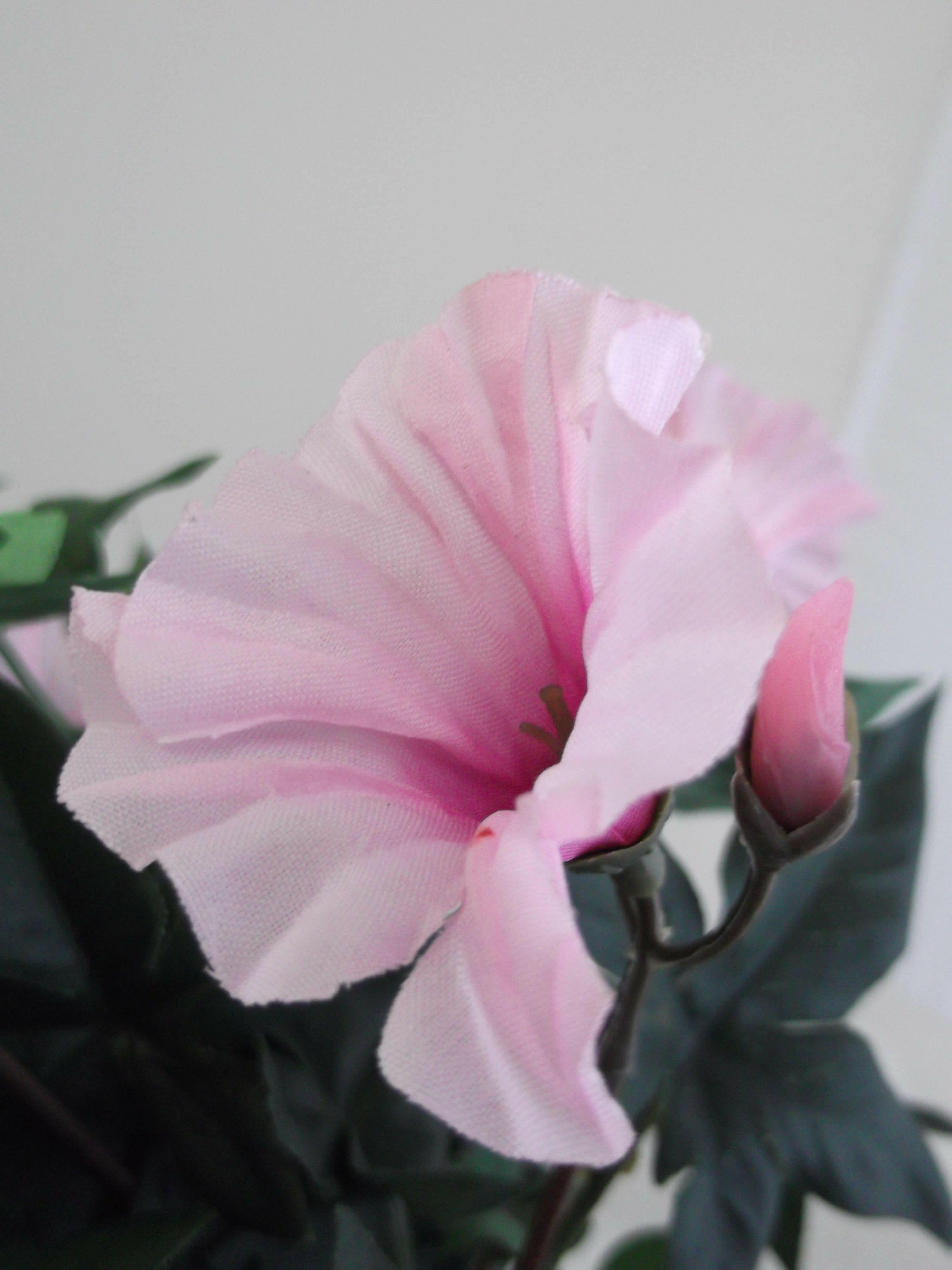 Artificial Silk Trailing Morning Glory