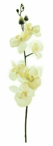 Artificial Silk Moth Orchid Flowers