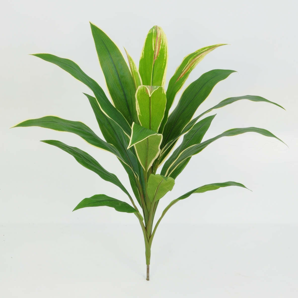 Artificial Cordyline FR