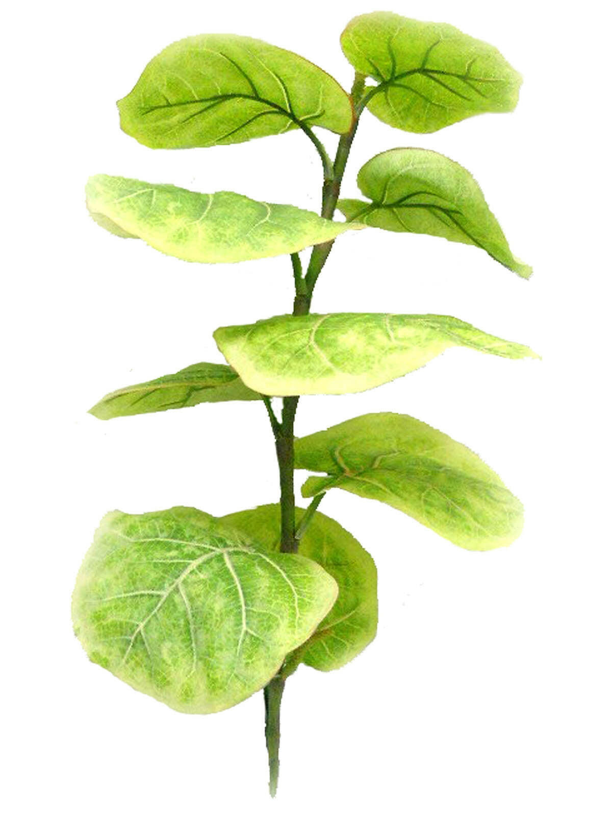 Artificial Silk Sea Grape FR